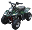 FT125cc XLC ATV Camo